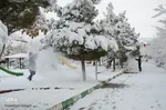 تبریز سپید پوش