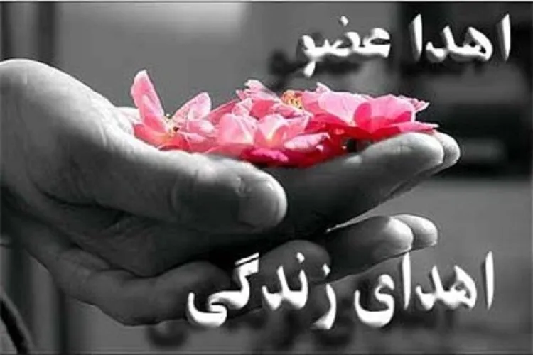 دانش‌آموز دارابی، جان دوباره به 4 بیمار بخشید