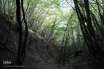 بقعه امامزاده پیرداوود‎