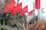 طرح نوروز شهدایی در ملایر‌