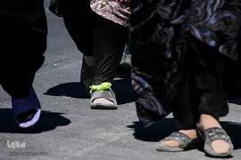 زائران پیاده امام رضا(ع)