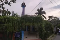গাছ-গাছালিতে ঘেরা অপরূপ শাহী জামে মসজিদ!