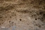 ربع رشیدی؛ بزرگ‌ترین مجتمع علمی دانشگاهی ایران (قرن هشتم هجری سیزدهم میلادی)‎‎