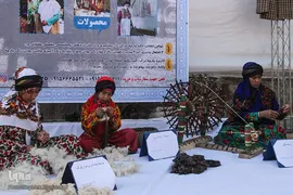 جشنواره ملی زرشک در خراسان جنوبی