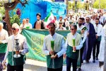 زیر سایه خورشید