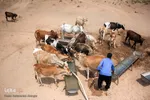 تلاش گروه خیریه به نام انسانیت این بود که به دور افتاده‌ترین نقاط سیل زده استان برود و کمک‌های جمع آوری شده را به نیازمندان واقعی برساند.