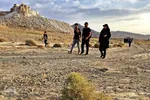 پیاده‌روی جاماندگان اربعین به سوی کربلای ایران