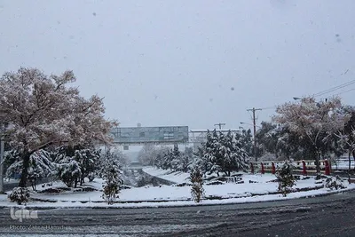 برف در خیابان‌های بیرجند