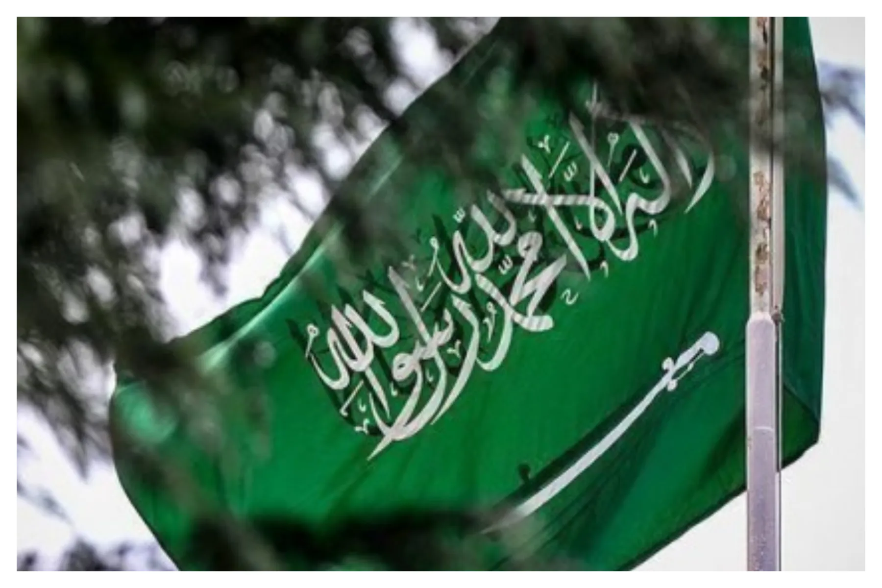 هلند سفیر سعودی را احضار کرد