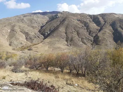 طبیعت بکر و پاییزی روستای انجرد شهرستان اهر