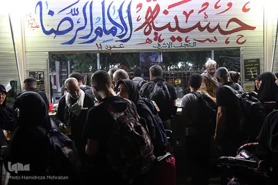 عشاق الحسین(ع) در طریق کربلا