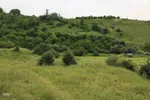 امام زاده ای در دل طبیعت بکر و جنگلی اهر