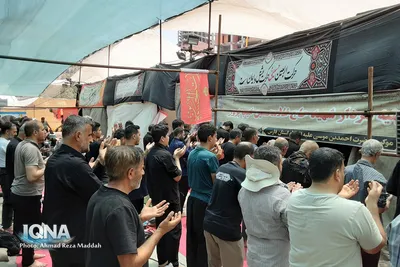 اقدامات موکب حضرت احمد ابن موسی(ع) در کربلا