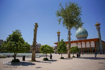 عطر بهار نارنج در شاهچراغ(ع)