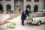 موکب همدلی
