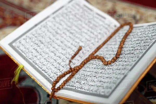 نگاهی به فعالیت شعب مؤسسه کریمه  آل‌ رسول(س) در آخرین ماه تابستان