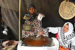 آیین سنتی «شیردوشان» – دیباج دامغان