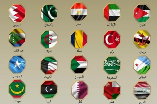 بیانیه وزرای خارجه ۲۰ کشور عربی و اسلامی در محکومیت حملات اسرائیل به ایران