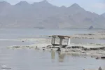 بازدید تور رسانه‌ای از کاکایی ارمنی در جزیره شاهسون دریاچه ارومیه و مزرعه پرورش آرتمیای بندر رحمانلو در عجب‌شیر