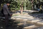 ایستگاه صلواتی کمیته خادمین الشهداء ملایر‎