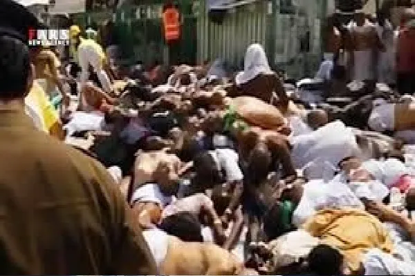 مراسم «لاله‌های سفید» در بابلسر برگزار می‌‌شود