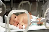 تولد بیش از ۷۲ هزار نوزاد در ۳۲ روز جنگ