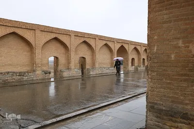 نصف جهان بارانی
