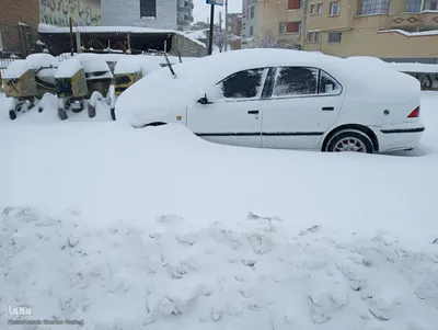 بارش شدید برف در اهر