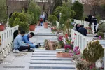 تحویل سال نو در گلستان شهدای اصفهان