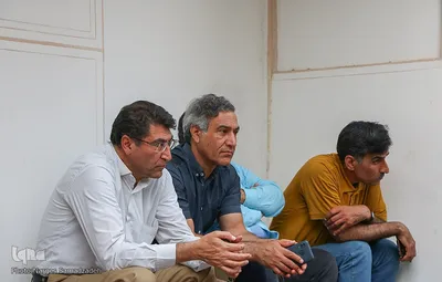 شب جلال الدین همایی‎‎