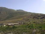 طبیعت زیبای قوشاداغ در اهر