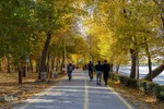 پاییز شگفت‌انگیز در اصفهان