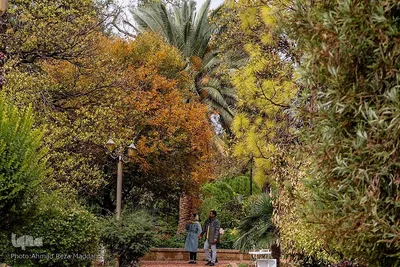 جلوه گری پاییز در باغ ارم شیراز