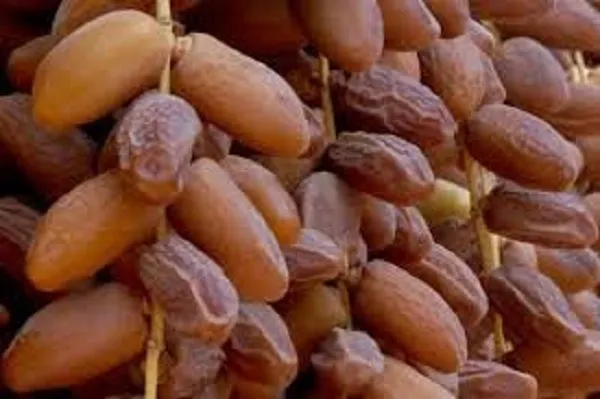 Guerre à Gaza : appels au boycott des dattes israéliennes