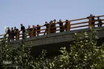 مراسم شبیه خوانی در شهرک عرب‌ها - مشهد 