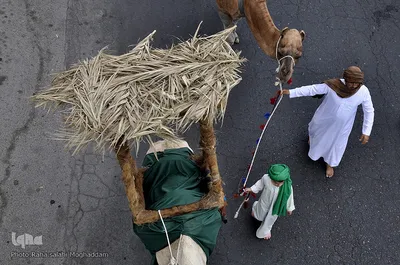 ورود نمادین کاروان حسینی به سرزمین کربلا