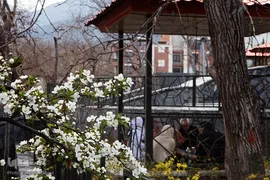 روز طبیعت در تهران
