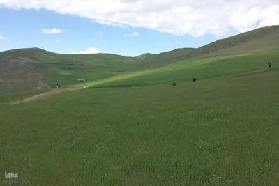 طبیعت بهاری روستای چوبانلار در اهر