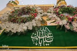 گل آرایی حرم نورانی امیرالمومنین حضرت علی(ع) در اعیاد شعبانیه