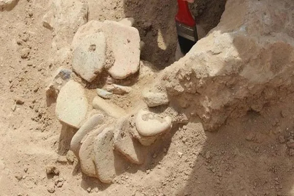 کشف مکان باستانی متعلق به صدر اسلام در قطر
