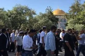 Gerusalemme, 185 coloni invadono al-Aqsa per lo Yom Kippur