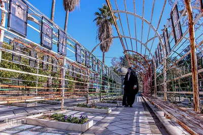 مزار شهدای انقلاب در شیراز‎‎