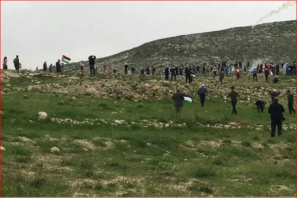 فراخوان گروه‌های فلسطینی برای شرکت در سالگرد روز زمین