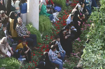 حافظیه شیراز میزبان «محفل» شد