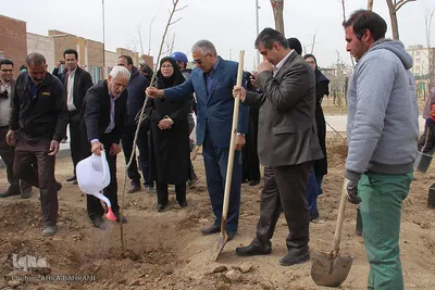 نهال کاری در پارک بانوان اراک/عکاس: زهرا بهرامی