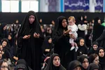 همایش شیرحوارگان در کرج