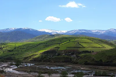 لبخند طبیعت در جلگه گیلان