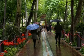 لاله زار بهاری در هیاهوی تهران