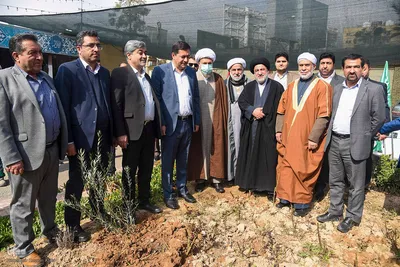کاشت نهال زیتون توسط نماینده ولی فقیه در فارس