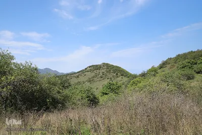بقعه امامزاده پیرداوود‎